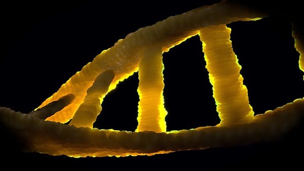 Clipping the Code: Unbinding the Inherited Command