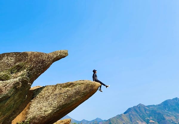 Discerning the Real: A Path of Living Cognition IX
