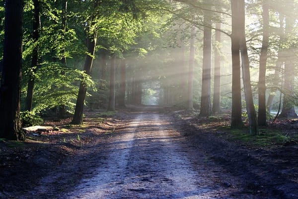 Threshold Guide I: Finding and Creating Form in one’s Life