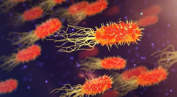 Medicine at a Crossroad: 2025-35