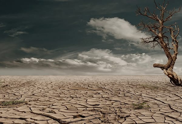 The Tasks of the Dead and the Earth
