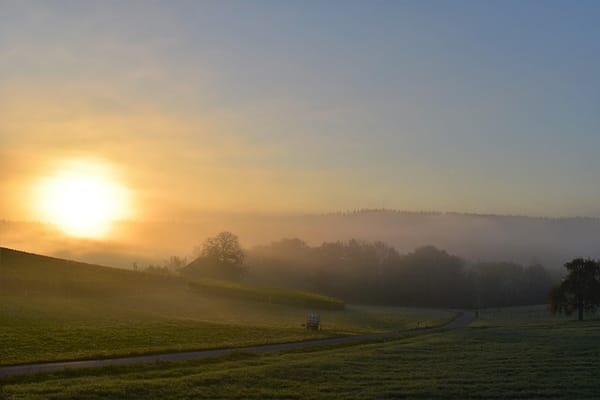 A Sun in the Chest: Toward a Culture of the Heart