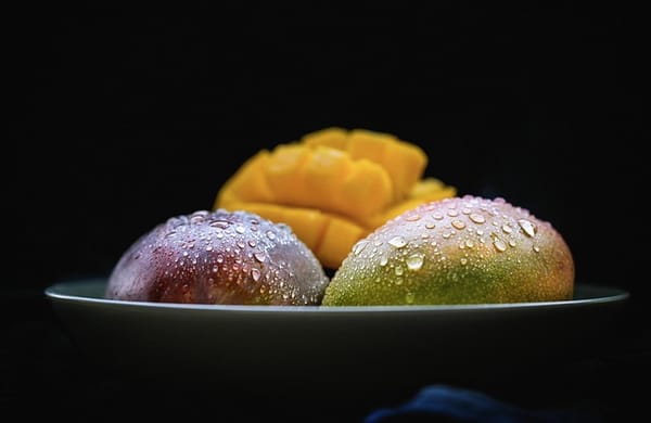 Helping life back on track:            🜁 Week 2 — Returning Presence Through Food, Attention, and Subtle Joys