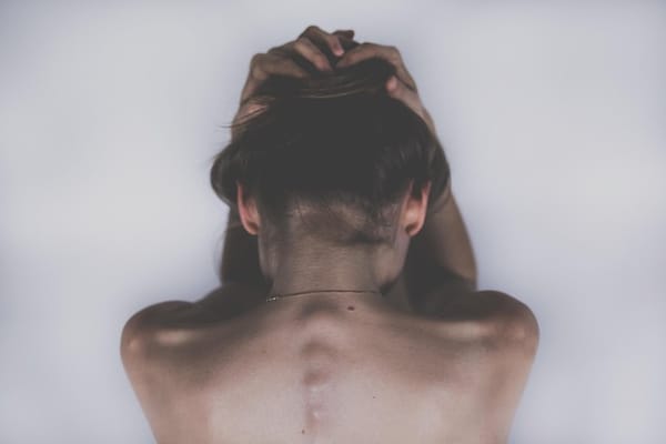 The Consciousness Soul: A Conscious Participation in the Redemption of the World