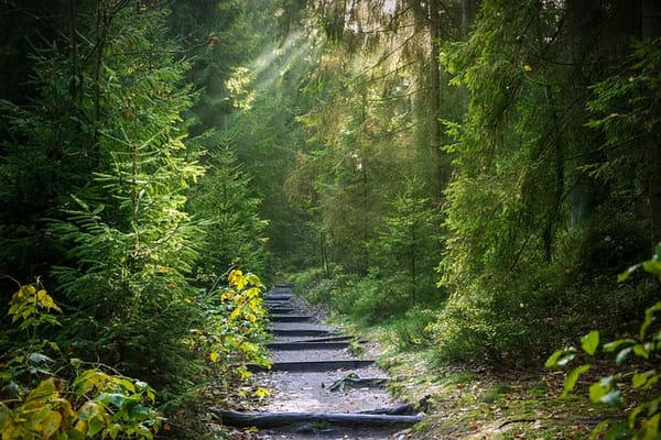Folklore and the Perception of Elemental Beings