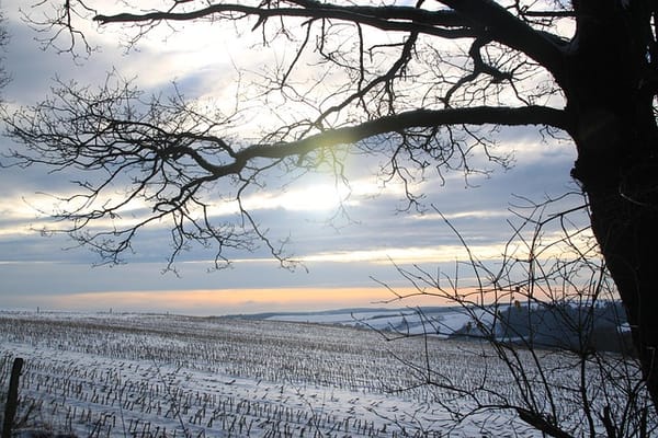 Vers une Économie Vivante