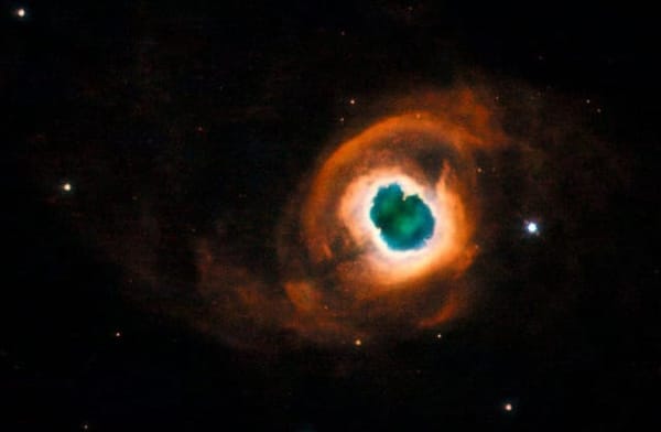 The Senses as the Primordial Body