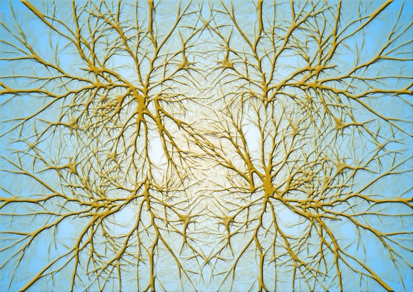 Knowledge of the Higher Worlds and Neuroplasticity