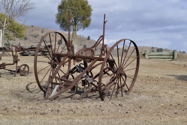 Texas: When the Land Begins to Breathe Again